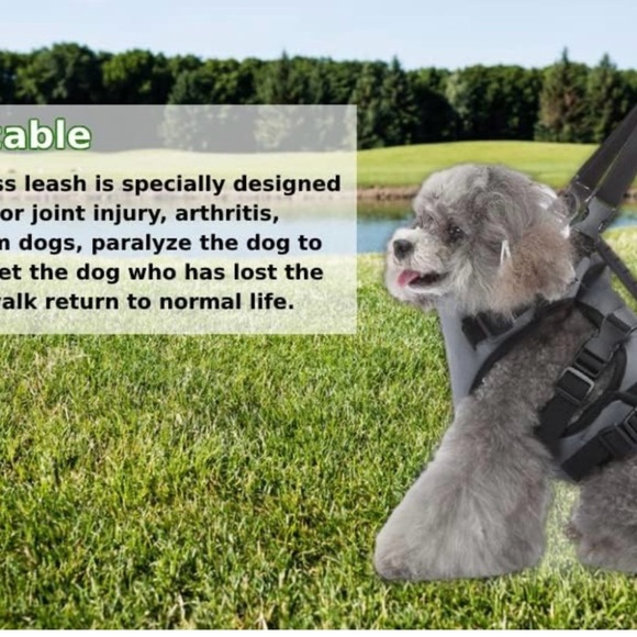 Dog Harness Harness Vest, Soft No Choke Escape Proof Harness and Leash Set S - Picture 2 of 5